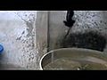 chat vs eau | BahVideo.com