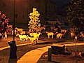 Goats Attempt City Take Over | BahVideo.com