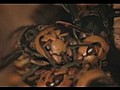 Buddha Bees and the Giant Hornet Queen 2007 | BahVideo.com
