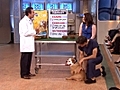 Help Your Unhealthy Pet Pt 2  | BahVideo.com