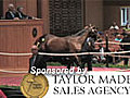 Fasig-Tipton July Yearling Sale Wrap-Up | BahVideo.com
