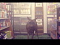  Owl City - Deer In The Headlights  | BahVideo.com