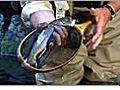 Fishing Basics - Catch and Release | BahVideo.com
