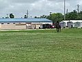 Fort Lauderdale Mounted Patrol leader retires | BahVideo.com