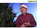 Grumpy Gardener Holiday Decorating Time-Savers | BahVideo.com