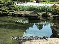 Dr David Galbraith on Sustainable Biodiversity | BahVideo.com