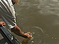 Catch and release | BahVideo.com