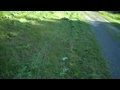 Mowing Weeds in Maine | BahVideo.com