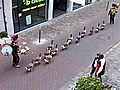 Geese join in drummer s parade | BahVideo.com