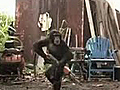 Ape With AK47 | BahVideo.com