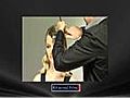 Remington Haargl tter S1051 Sleek amp Curl  | BahVideo.com