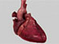 Cyber heart | BahVideo.com