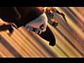 Kung Fu Panda Clip Das war meine Faust | BahVideo.com