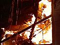 Fire Destroys Grandview Home | BahVideo.com