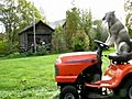 Dog Mowing Lawn | BahVideo.com