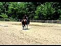2007 One Hot Krymsun mare for sale | BahVideo.com