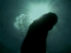 Le dugong | BahVideo.com