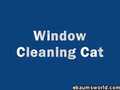 Cat Cleaner | BahVideo.com