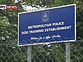 Dog deaths cop s amp 039 suicide bid amp 039  | BahVideo.com