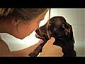 Hond Iso zijn eerste bad | BahVideo.com