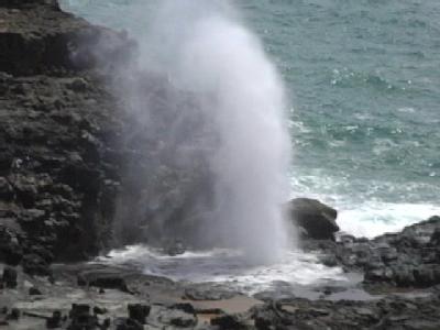Maui Officials Respond To Visitor s Death | BahVideo.com