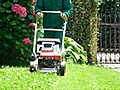 How to grow a green lawn organically | BahVideo.com