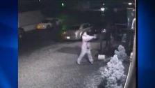 VIDEO Surveillance of bar shootout | BahVideo.com