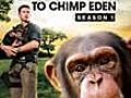 Escape to Chimp Eden Season 1 Disc 2 | BahVideo.com