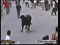 un toro reconoce entre miles de personas a  | BahVideo.com