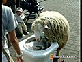 Funny Animals | BahVideo.com