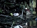 Sturzflut rei t mehrere Menschen in den Tod | BahVideo.com