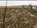 Black Kettle Nat l Grasslands | BahVideo.com