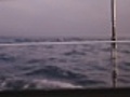 Sailing away | BahVideo.com