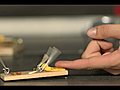 Mouse Trap Finger Challenge - The Slow Mo Guys | BahVideo.com