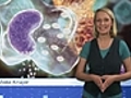 43 Folge von biotechnologie tv | BahVideo.com