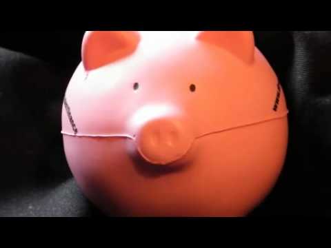 Adventures of Squiggles the Pig | BahVideo.com