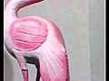 Rare vintage wood carved pink flamingo bird figure art | BahVideo.com