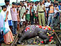 Elephant deaths Blame game on Railways  | BahVideo.com
