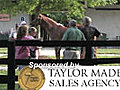 Fasig-Tipton July Sale Preview 2011 | BahVideo.com