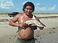 Baby shark | BahVideo.com