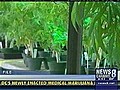 Fenty Proposes Medical Marijuana Regs | BahVideo.com