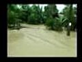 torrente tropicale | BahVideo.com