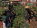 Emeril Green Edible Schoolyard | BahVideo.com