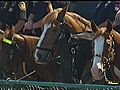 Deputies Salute Horse That Died At JITH | BahVideo.com