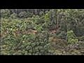 Amazon Tribe | BahVideo.com