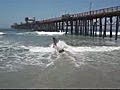 Oceanside California | BahVideo.com