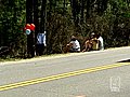 Friends Mourn Crash Victims | BahVideo.com