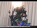 Cutest Christmas Kitteh EVAR  | BahVideo.com