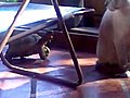 Une tortue mord un chat | BahVideo.com