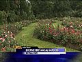 Surveying some of the 500 varieties of roses at Boerner Botanical Gardens | BahVideo.com